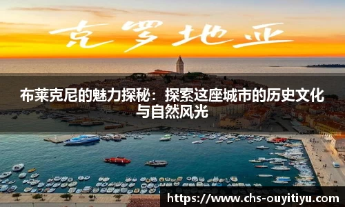 布莱克尼的魅力探秘:探索这座城市的历史文化与自然风光